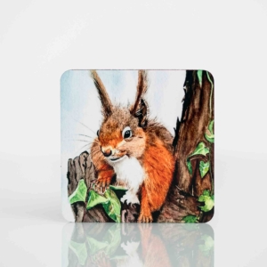 Coaster Set with Painting of a Squirrel Homeware Gifts.jpeg