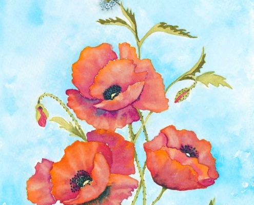 An Original Watercolour Painting of Stunning Corn Poppies by Galway Artist Pat Flannery.jpeg