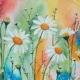 An Original Painting of Dancing Wild Irish Daisies in the Summer Time by Galway Artist Pat Flannery.jpeg