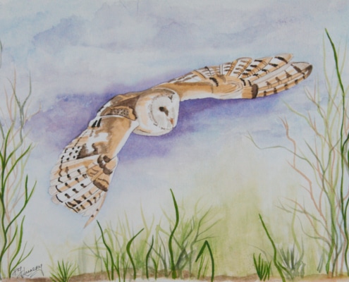Owl in Original Watercolour Painting of an Owl Taking a Flight in Evening by Galway Artist Pat Flannery.jpeg