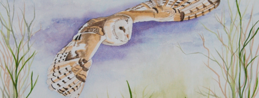 An Original Watercolour Painting of an Owl Taking a Flight in Evening by Galway Artist Pat Flannery.jpeg