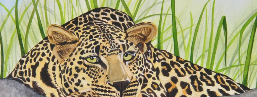 An Original Watercolour Painting of the Fierce Leopard by Galway Artist Pat Flannery.jpeg