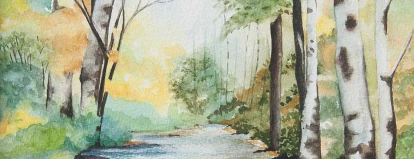 An Original Painting of a Stream amidst the Woodlands in Watercolour by Galway Artist Pat Flanery.jpeg