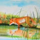 An Original Painting of a Wild Fox and its Reflection on the Lake of by Galway Artist Pat Flannery.jpeg