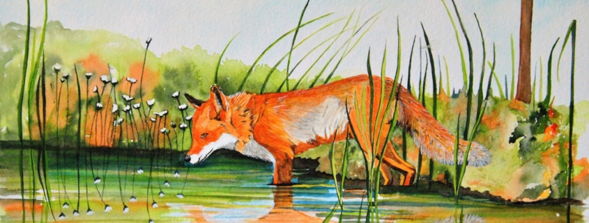 An Original Painting of a Wild Fox and its Reflection on the Lake of by Galway Artist Pat Flannery.jpeg