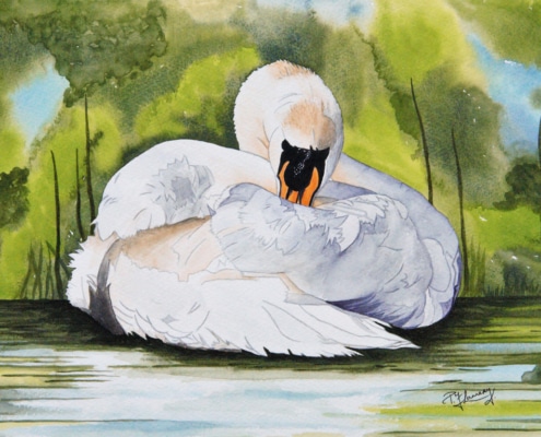 An Original Painting of a Sawn Resting a while of by Galway Artist Pat Flannery.jpeg
