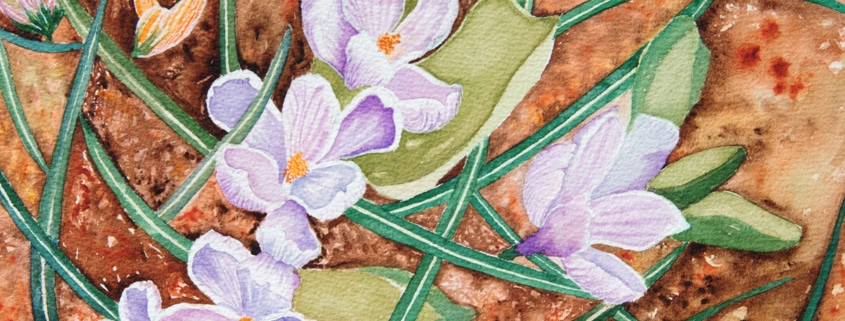 An Original Watercolour Painting of purple spring bulbs breaking through the ground by Galway Artist Pat Flannery.jpeg