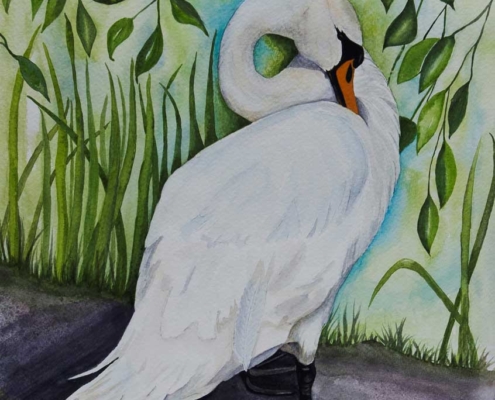 An Original Watercolour Painting of a Serene Swan Standing by Galway Artist Pat Flannery.jpeg