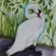 An Original Watercolour Painting of a Serene Swan Standing by Galway Artist Pat Flannery.jpeg