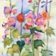 An Original Painting of a Bunch of Colourful Wild Flowers in Watercolour by Galway Artist Pat Flannery.jpeg