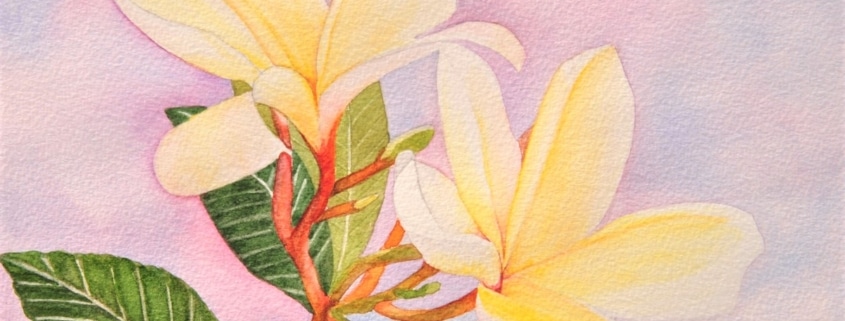An Original Watercolour Painting of Beautiful Flowers in Yellow by Galway Artist Pat Flannery.jpeg