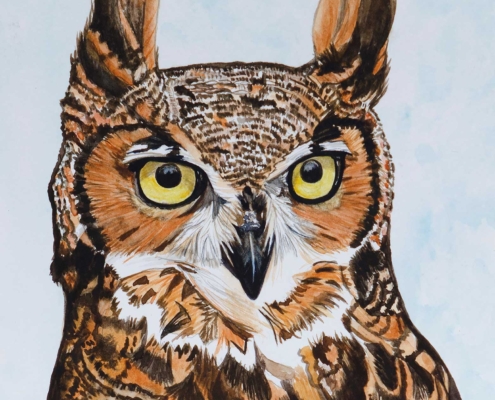 An Original Watercolour Painting of a Little Owl by Galway Artist Pat Flannery.jpeg