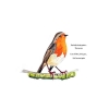 A stunning little Irish native bird, a Robin Red breast with a verse by Galway Artist Pat Flanery.jpeg
