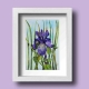 A Beautiful Framed Painting of the Glorious Iris by Galway Artist Pat Flanery.jpeg